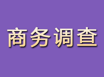 北京商务调查